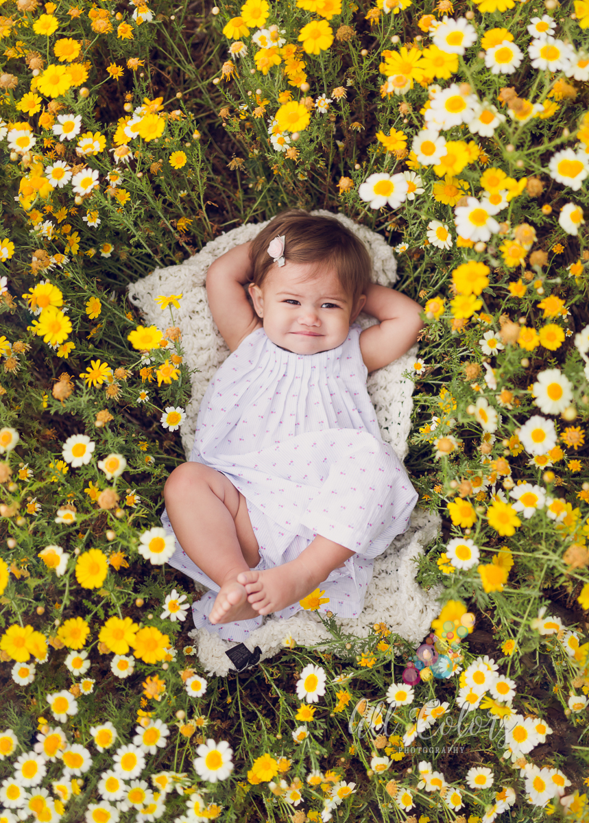Parker’s 1 year old shoot » San Diego Newborn Photographer