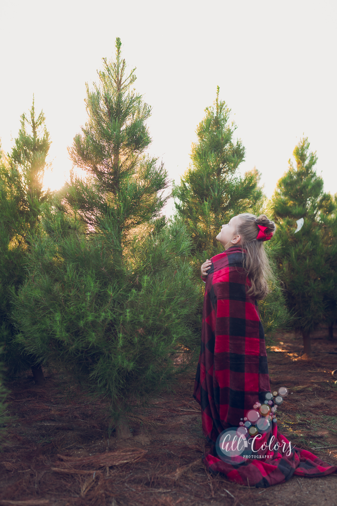 san diego christmas tree