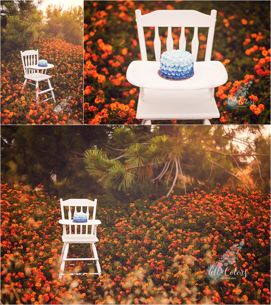 White wooden high chair with a blue ombre cake on a field of orange flowers in San Diego, CA.
