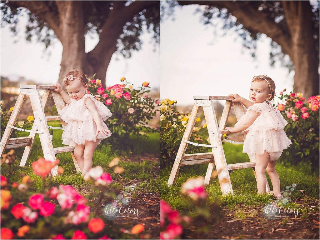 1 year old baby holding on to a wooden ladder in rose garden at Balboa Park, San Diego CA
