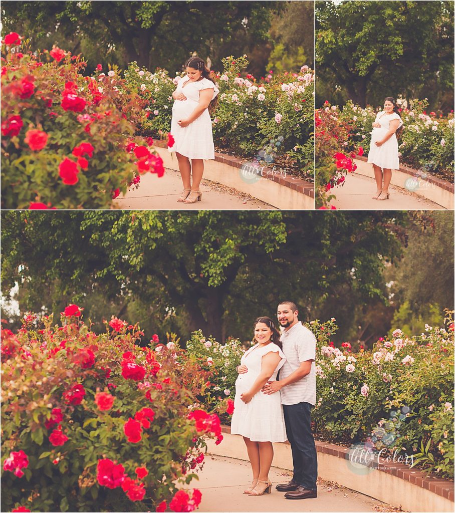 couple at a rose garden