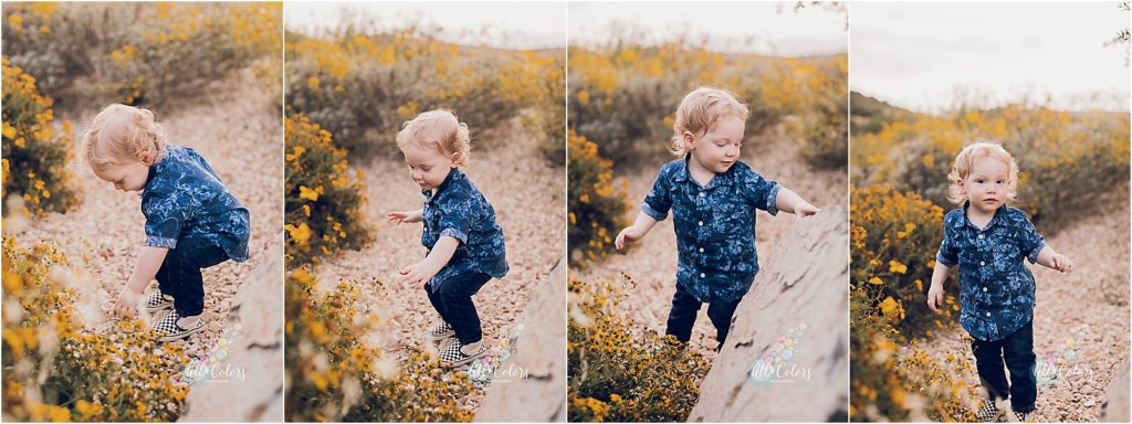 blonde baby boy walking on a trail with wildflowers